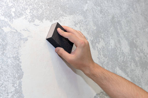 Trusted Oakland, SC Mold Removal Experts