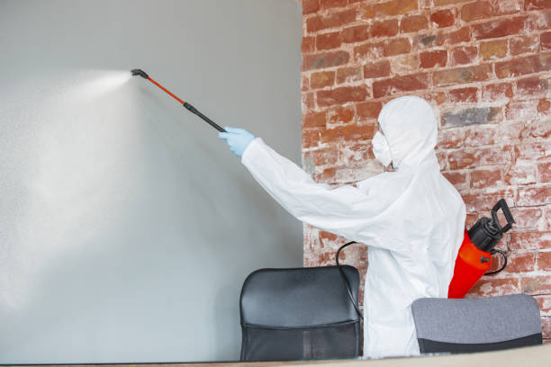 Best Crawl Space Mold Remediation  in Oakland, SC
