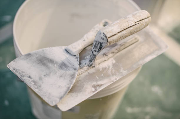 Best Mold Documentation for Insurance Claims  in Oakland, SC